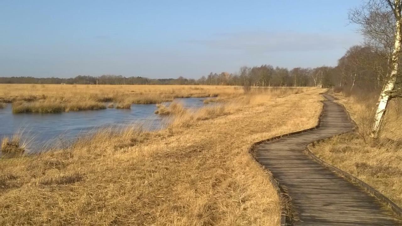 Ferienwohnung Kornew Дорнум Экстерьер фото